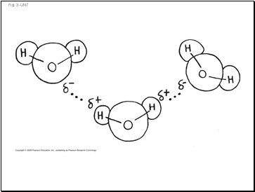 Fig. 3-UN7