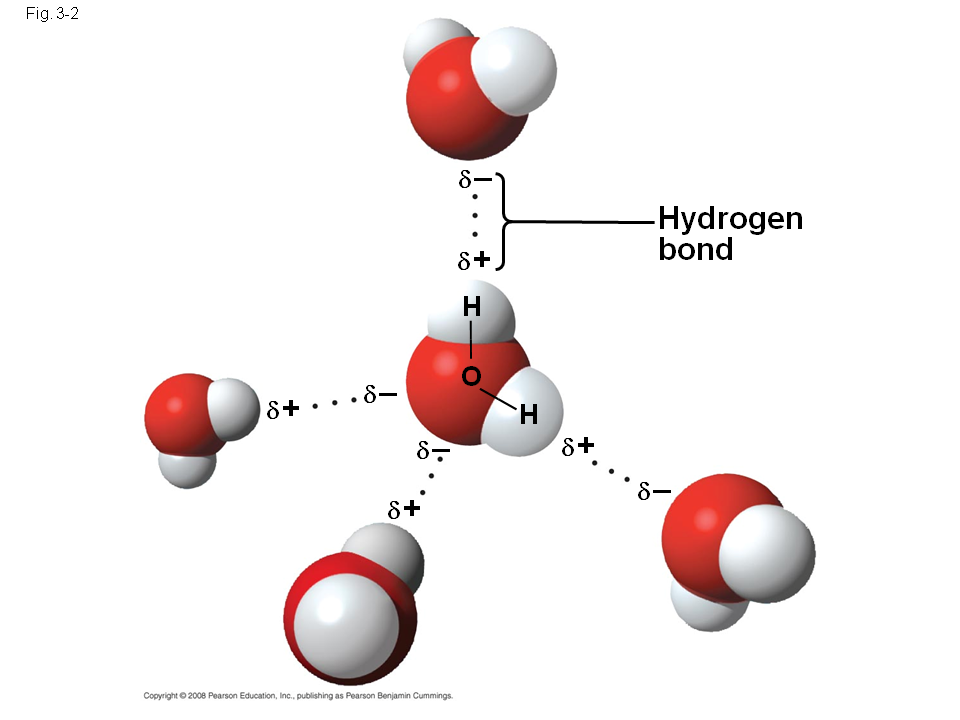 Вода водородное соединение