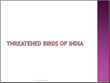 Threatened Birds of India