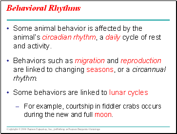 Behavioral Rhyths