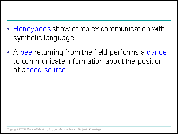 Honeybees show complex communication with symbolic language.