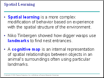 Spatial Learning