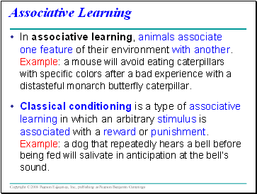 Associative Learning