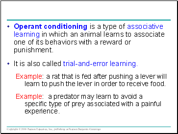 Operant conditioning is a type of associative learning in which an animal learns to associate one of its behaviors with a reward or punishment.