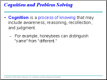 Cognition and Problem Solving