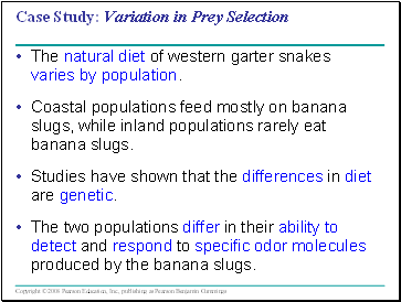 Case Study: Variation in Prey Selection