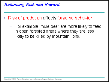 Balancing Risk and Reward