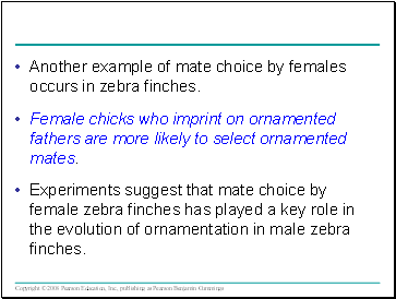 Another example of mate choice by females occurs in zebra finches.