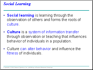 Social Learning