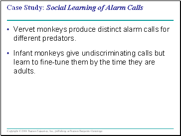 Case Study: Social Learning of Alarm Calls