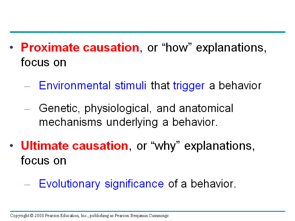 Animal Behavior - Presentation Biology