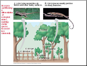 Resource partitioning is differentiation of ecological niches, enabling similar species to coexist in a community