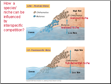 How a species niche can be influenced by interspecific competition?