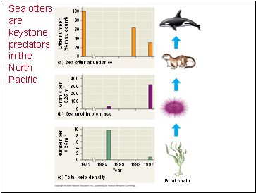 Sea otters are keystone predators in the North Pacific