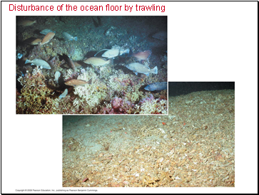 Disturbance of the ocean floor by trawling