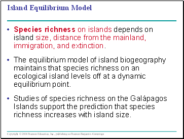 Island Equilibrium Model