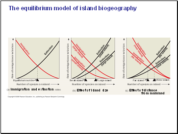 The equilibrium model of island biogeography