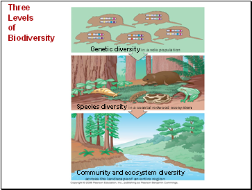 Three Levels of Biodiversity