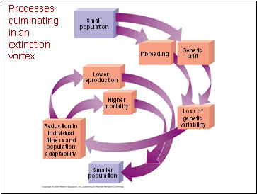 Processes culminating in an extinction vortex