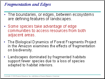 Fragmentation and Edges