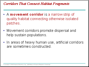 Corridors That Connect Habitat Fragments