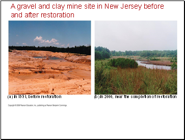 A gravel and clay mine site in New Jersey before and after restoration