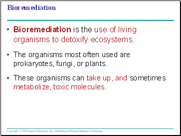 Bioremediation