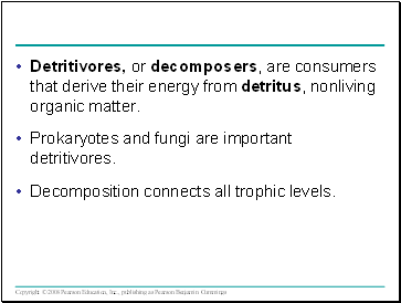 Detritivores, or decomposers, are consumers that derive their energy from detritus, nonliving organic matter.