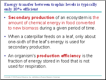 Energy transfer between trophic levels is typically only 10% efficient