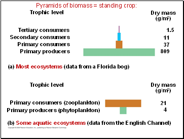 Pyramids of biomass = standing crop: