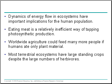 Dynamics of energy flow in ecosystems have important implications for the human population.