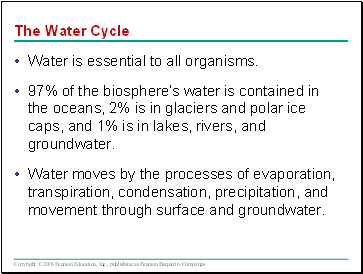 The Water Cycle