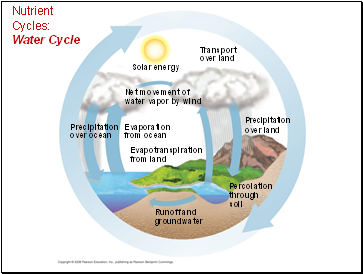 Nutrient Cycles: Water Cycle