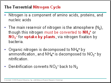 The Terrestrial Nitrogen Cycle