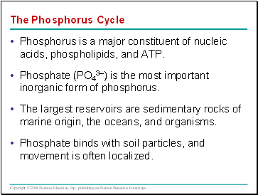 The Phosphorus Cycle