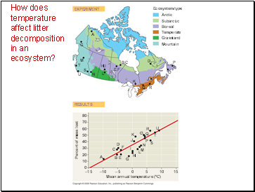 How does temperature affect litter decomposition in an ecosystem?