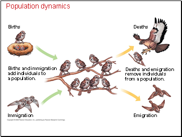 Population dynamics