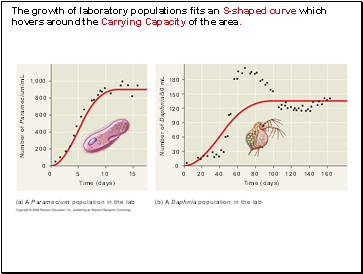 The growth of laboratory populations fits an S-shaped curve which hovers around the Carrying Capacity of the area.
