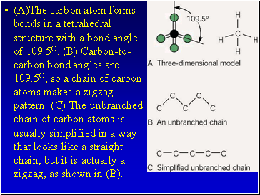 (A)The carbon atom forms bonds in a tetrahedral structure with a bond angle of 109.5O. (B) Carbon-to-carbon bond angles are 109.5O, so a chain of carbon atoms makes a zigzag pattern. (C) The unbranched chain of carbon atoms is usually simplified in a way that looks like a straight chain, but it is actually a zigzag, as shown in (B).
