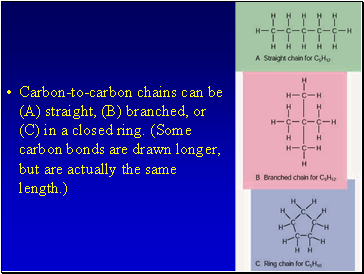 Carbon-to-carbon chains can be (A) straight, (B) branched, or (C) in a closed ring. (Some carbon bonds are drawn longer, but are actually the same length.)