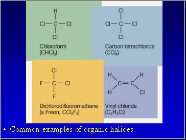 Common examples of organic halides.