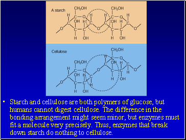 Starch and cellulose are both polymers of glucose, but humans cannot digest cellulose. The difference in the bonding arrangement might seem minor, but enzymes must fit a molecule very precisely. Thus, enzymes that break down starch do nothing to cellulose.