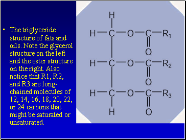 The triglyceride structure of fats and oils. Note the glycerol structure on the left and the ester structure on the right. Also notice that R1, R2, and R3 are long-chained molecules of 12, 14, 16, 18, 20, 22, or 24 carbons that might be saturated or unsaturated.