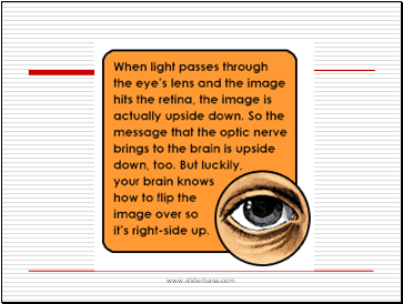 Anatomy of the Eye