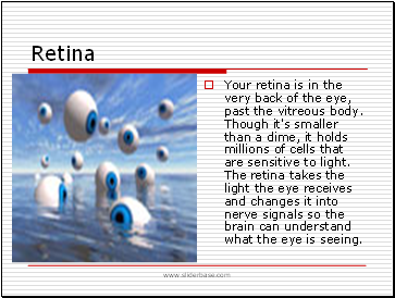 Retina