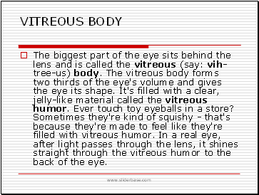 Vitreous body