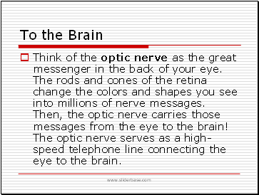 To the Brain