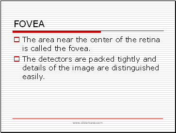 Fovea