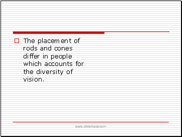 The placement of rods and cones differ in people which accounts for the diversity of vision.