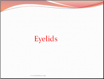 Eyelids